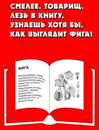 Бібліотечний гумор: жартівливі вірші про книгу і читання