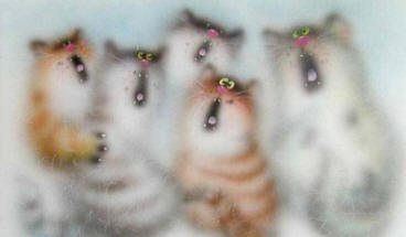 Сценарій весілля: застільний пісенний конкурс