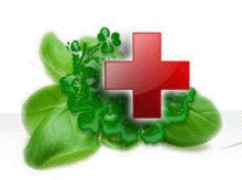 Абетка лікарських трав у віршах для дітей