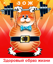 ЗОЖ: все о здоровом образе жизни от стихов до советов